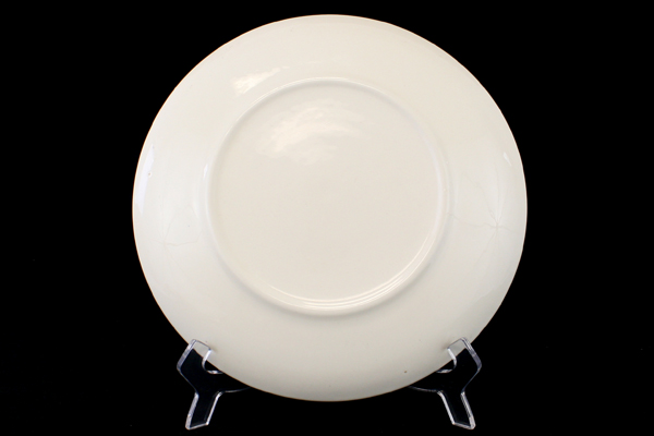 9.75" White Plate w/ Vibrant Colorful Colorado Scenes & Gold Decorative Border