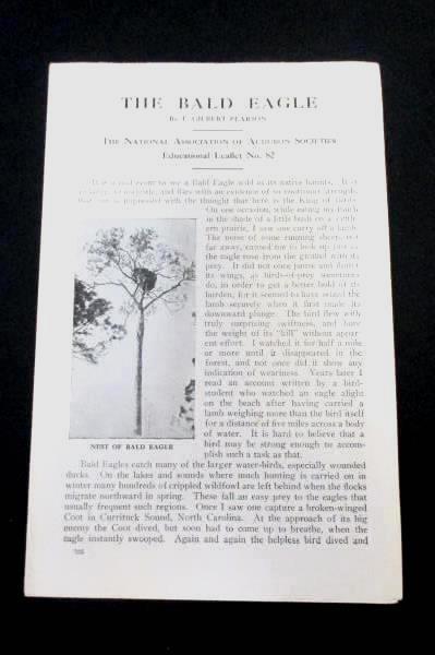 The Bald Eagle Gilbert Pearson Audubon Society Leaflet Lithograph Print
