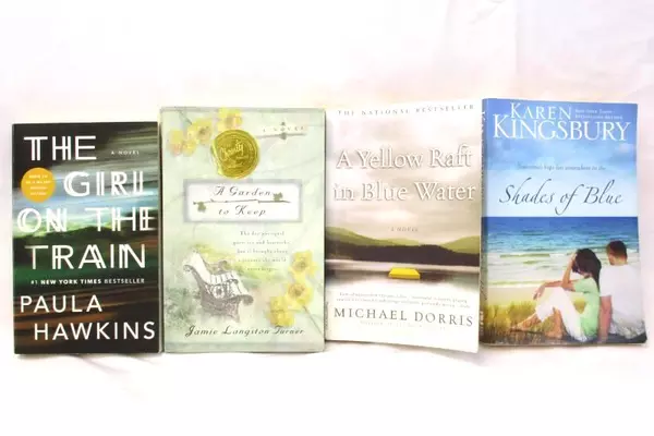 Lot of 4 Fiction Paperbacks Michael Dorris Jamie Turner Karen Kingsbury