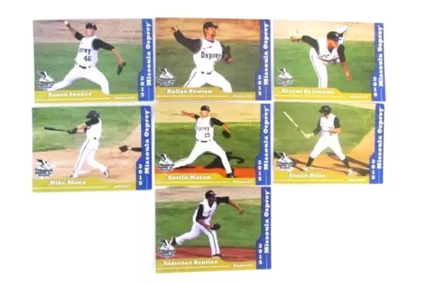 Lot of 28 Baseball Cards 2015 Missoula Osprey Players Grandstand Trading Cards