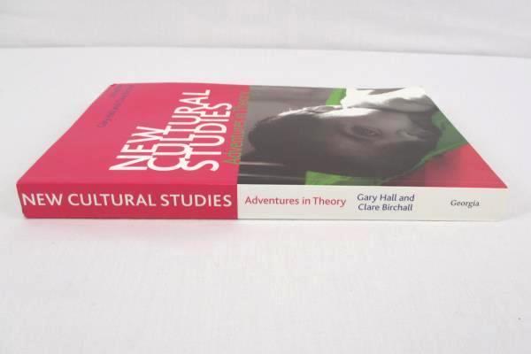 New Cultural Studies: Adventures in Theory by Gary Hall & Clare Birchall 2006 SC