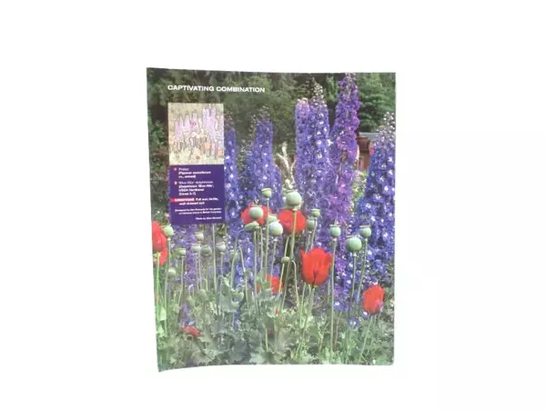 Starting From Seed Gardening Magazine Grow Your Own Volume 1 2010
