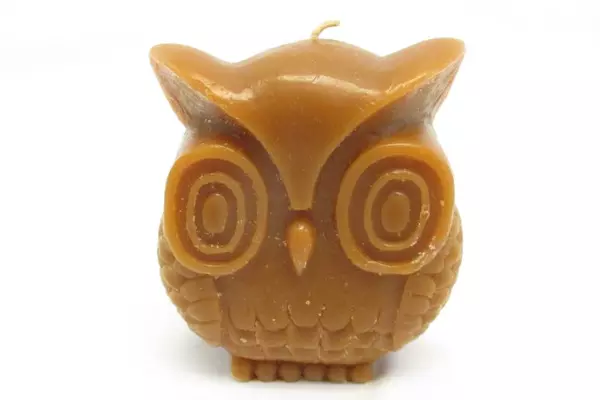 Lot of 2 Candles Brown Owl Tan Acorn Shaped Candles Unlit
