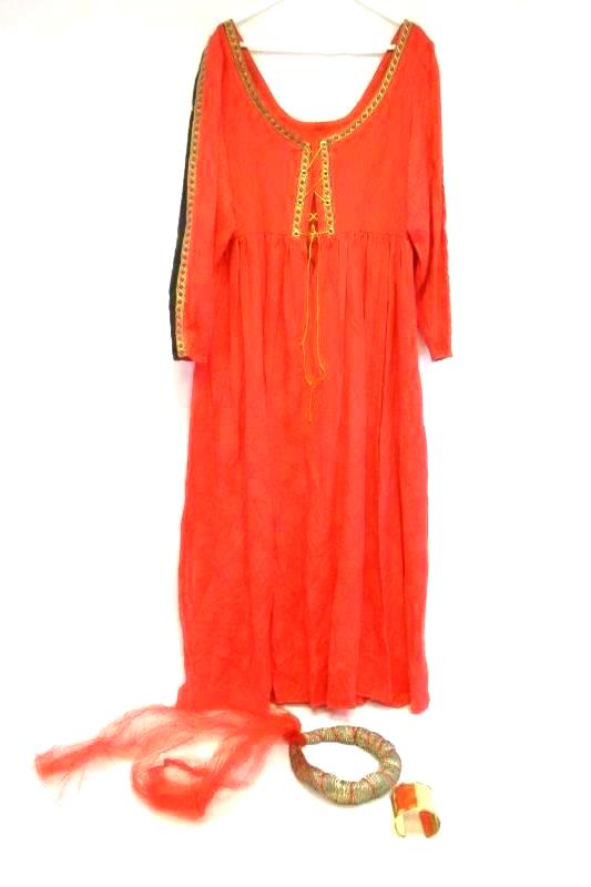 Medieval Style Halloween Costume Dress No Size Tag Measures Like XL
