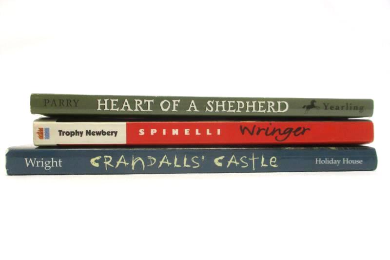 Lot of 3 Paperback Novels Ages 8-12 Wringer Heart of a Shepherd Crandall Castle