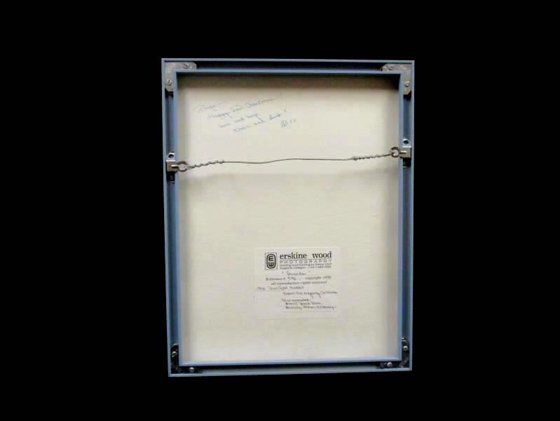 Erskine Wood Photography 1988 Friends Framed Photo Dentzell Rabbit Hegarty