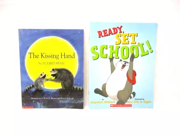 Lot of 4 Children's Paperback Books Dora Great Fairy Tale Disaster Kissing Hand