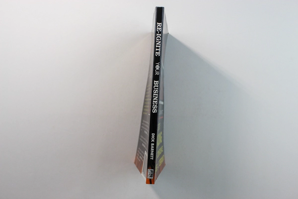 Re-Ignite Your Business Dick Barnett 1997 Confident Leader Press Paperback Book