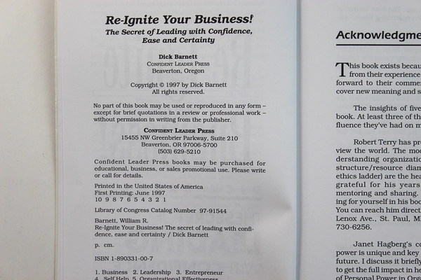 Re-Ignite Your Business Dick Barnett 1997 Confident Leader Press Paperback Book