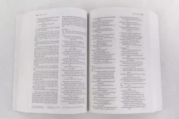 Youn Young Life Road to Real TNIV Holy Bible Journey Deep World According to God