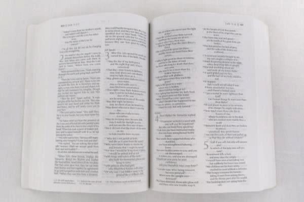 Youn Young Life Road to Real TNIV Holy Bible Journey Deep World According to God