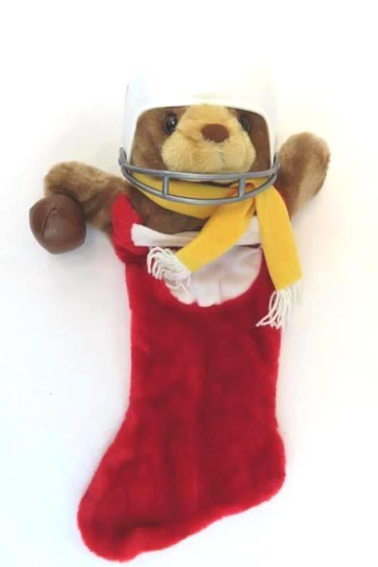 Team NFL Cardinals Teddy Bear Christmas Stocking Helmet Scarf Football