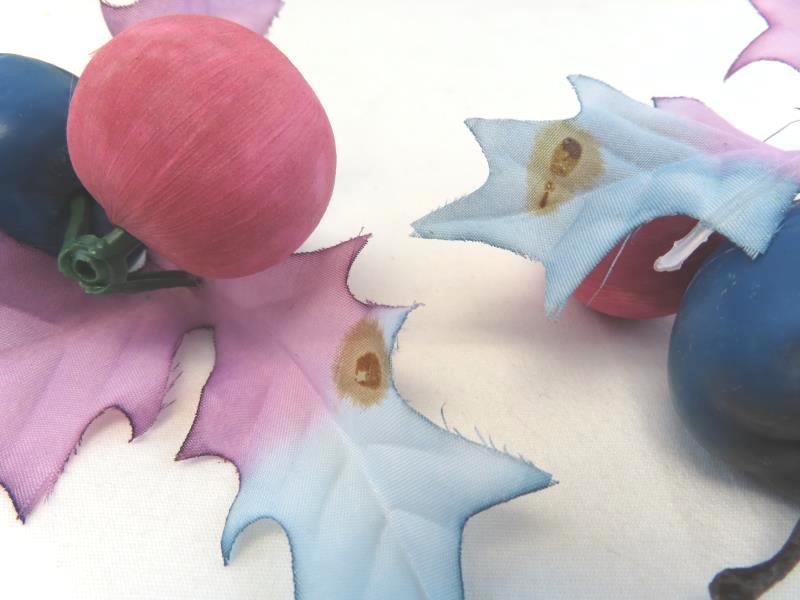 Lot Of Decorations For Christmas DIY Projects Cones Berries Apples