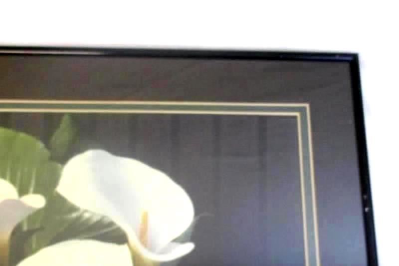 Sandra Lee Reha Fine Art Photography Famed Lilies Picture 24" x 20" Matted