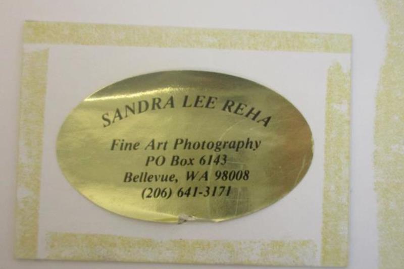 Sandra Lee Reha Fine Art Photography Famed Lilies Picture 24" x 20" Matted