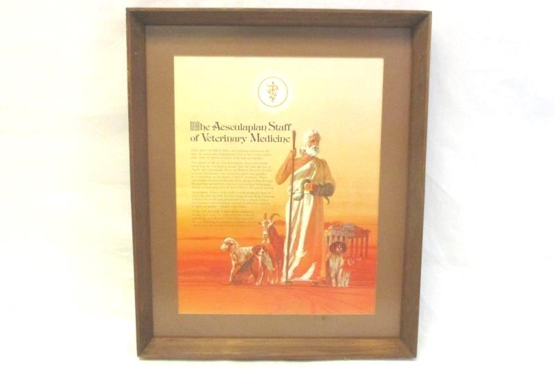 Framed Art Poster The Aesculapian Staff Of Veterinarian Medicine 18in x 15in