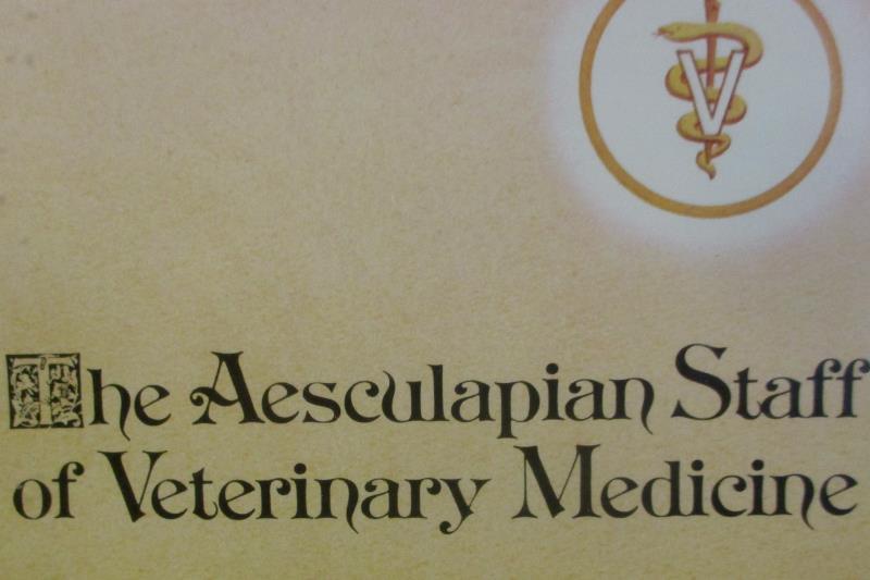 Framed Art Poster The Aesculapian Staff Of Veterinarian Medicine 18in x 15in