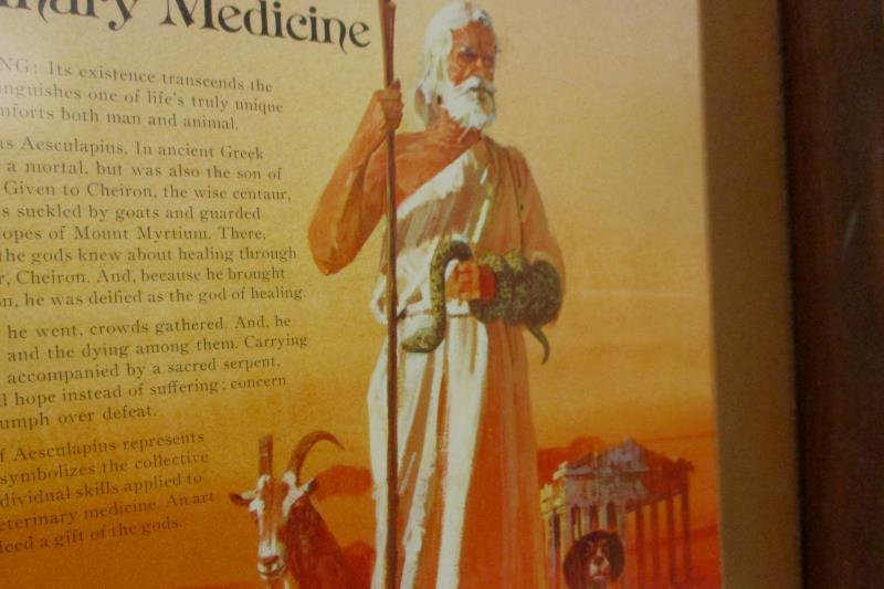 Framed Art Poster The Aesculapian Staff Of Veterinarian Medicine 18in x 15in