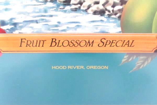 Framed Mount Hood Railroad Fruit Blossom Special Poster Print Hood River Oregon