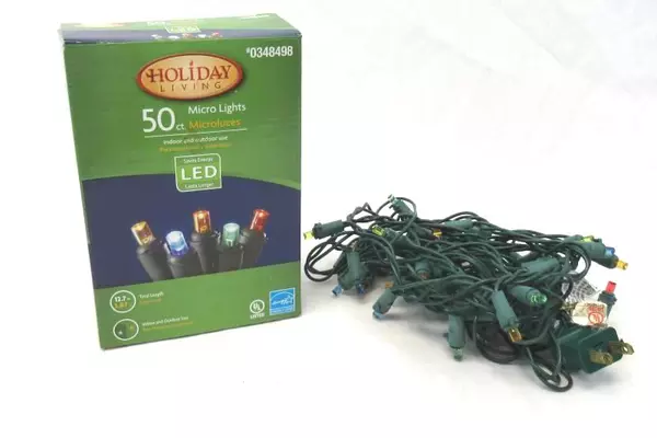 Holiday Living Micro Lights LED 50 Count 12.7 ft Indoor Outdoor Multicolor