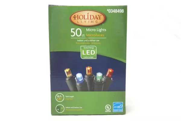 Holiday Living Micro Lights LED 50 Count 12.7 ft Indoor Outdoor Multicolor