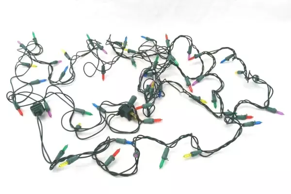 Santas Forest LED Mini Lights 50 Count 16.3 ft Multicolor Indoor Outdoor