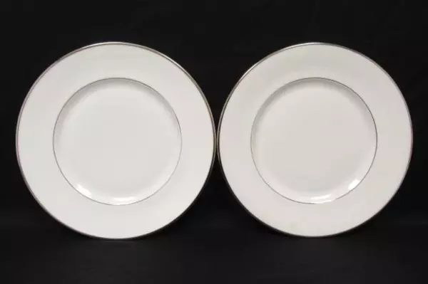 Set 2 Royal Doulton Fine English Bone China Dinner Plates Signet Pattern M4974