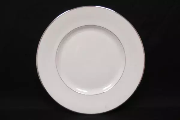 Set 2 Royal Doulton Fine English Bone China Dinner Plates Signet Pattern M4974
