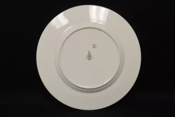 Set 2 Royal Doulton Fine English Bone China Dinner Plates Signet Pattern M4974