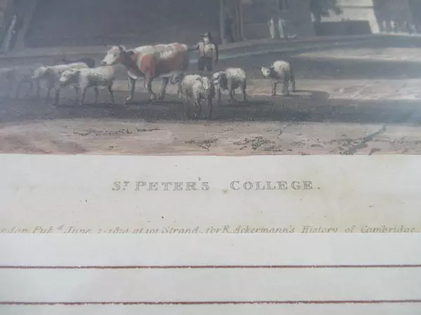 Framed Antique Print St. Peter's College R. Ackermann's History Of Cambridge