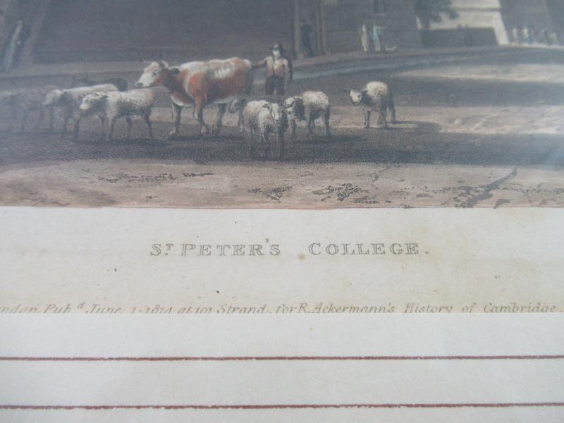 Framed Antique Print St. Peter's College R. Ackermann's History Of Cambridge
