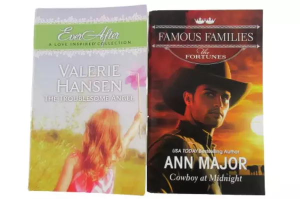 Lot of 8 Paperback Romance Novels Harlequin Steeple Hill Ann Major Lori Foster