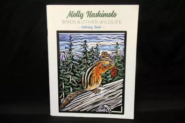 Molly Hashimoto Birds and Other Wildlife Coloring Book Paperback Pomegranate