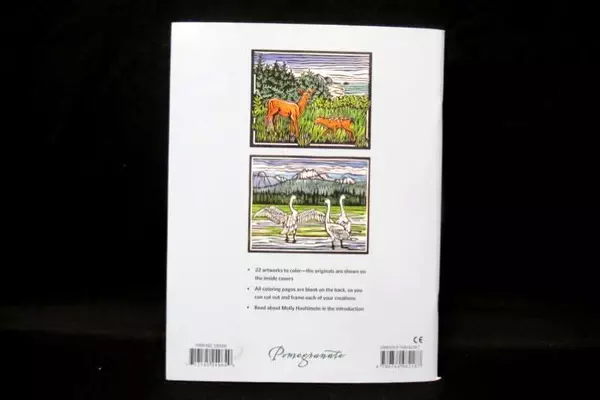 Molly Hashimoto Birds and Other Wildlife Coloring Book Paperback Pomegranate