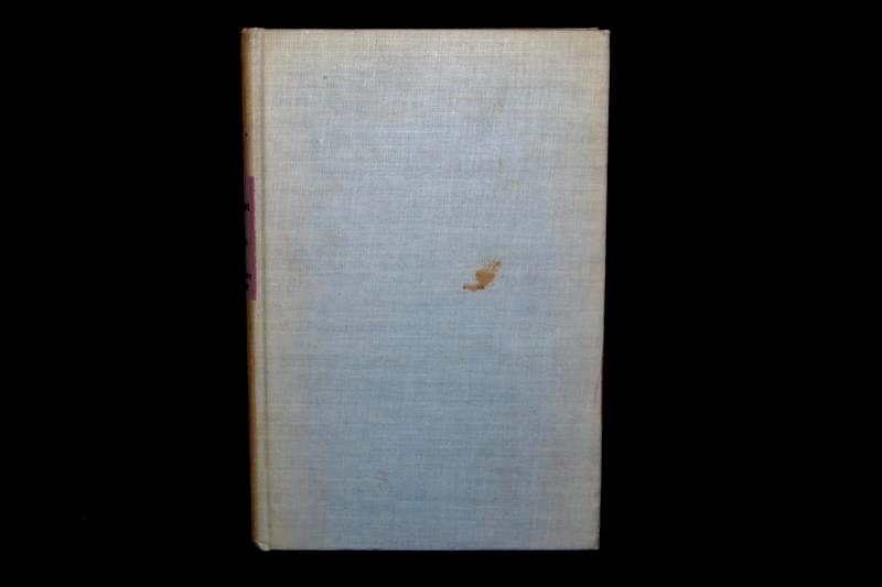 Antique Book City Development Lewis Mumford Hardcover First Edition 1945