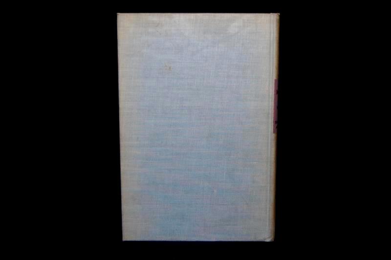 Antique Book City Development Lewis Mumford Hardcover First Edition 1945