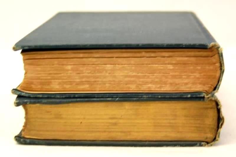 Lot of 2 Antique Les Misérables Books Vol III and V by Victor Hugo 1899 & 1901