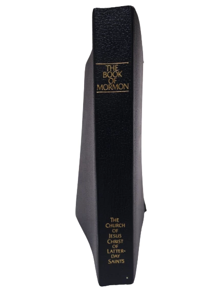 The Book of Mormon Another Testament of Jesus Christ 1981 Blue Softcover