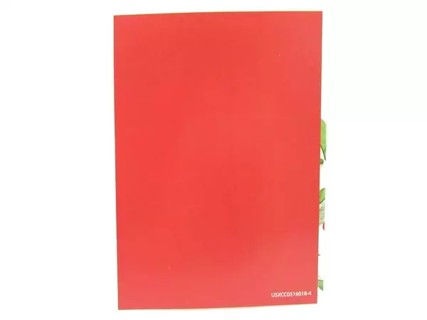 Lot of 12 Christmas House Greeting Cards Season's Greetings Greenery Red Berries