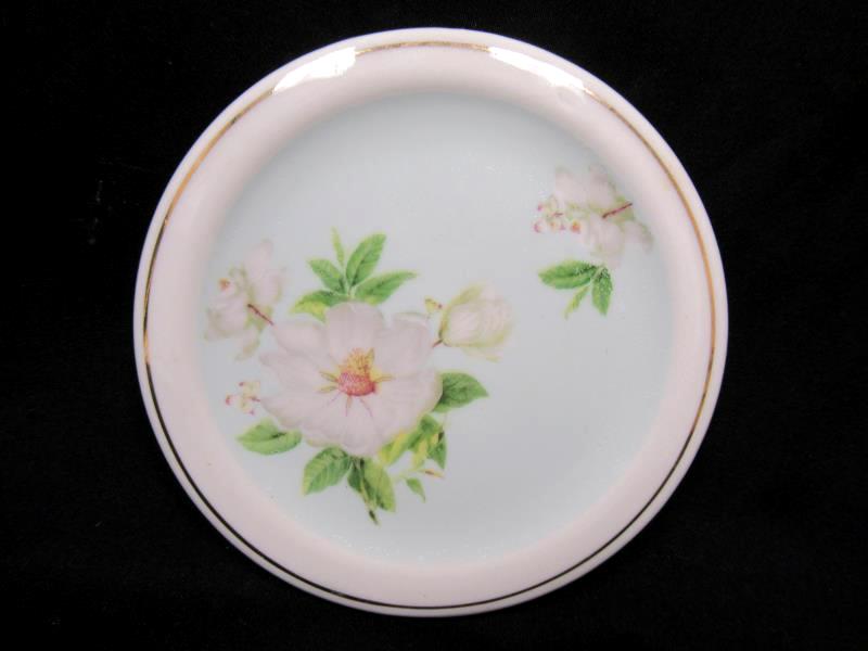 Gracie Bone China Magnolia Cup and Saucer Platinum Rim Light Green