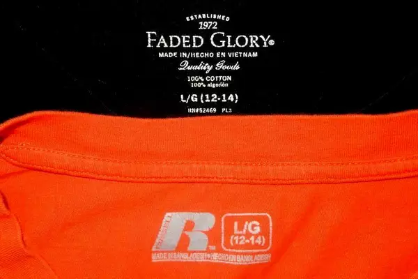 Lot of 2 Women's Tee Shirts Size Large Russel Oregon State Faded Glory