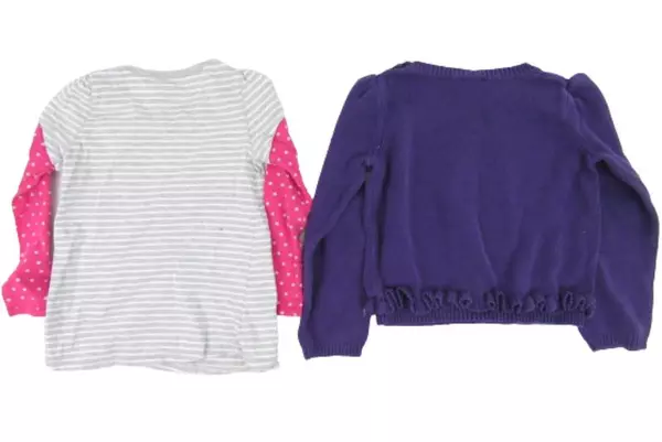 Lot of 2 Kids Tops Size 4T Gymboree Circo Long Sleeve Penguin Hearts Purple