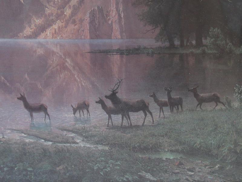 Framed Art Poster Elk And Mountain Landscape Wood Frame Large Outdoors Art