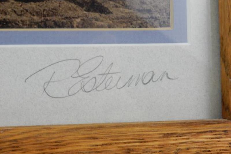 3 Photographs By R. Esteiman Oregon Coast Lighthouses Boat Nature Wood Framed