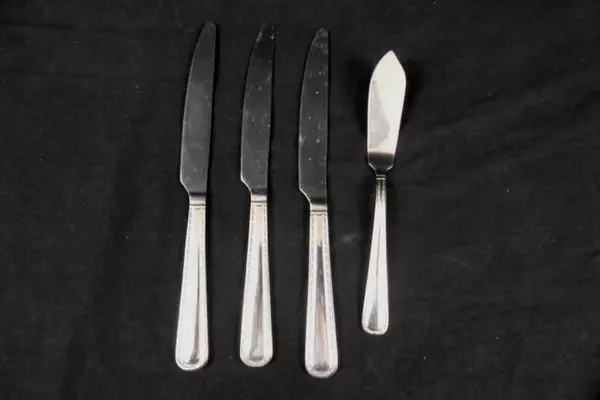 Lot of 24 Pcs Pfaltzgraff Everyday Flatware Beaded Pattern 18/0 Stainless Steel
