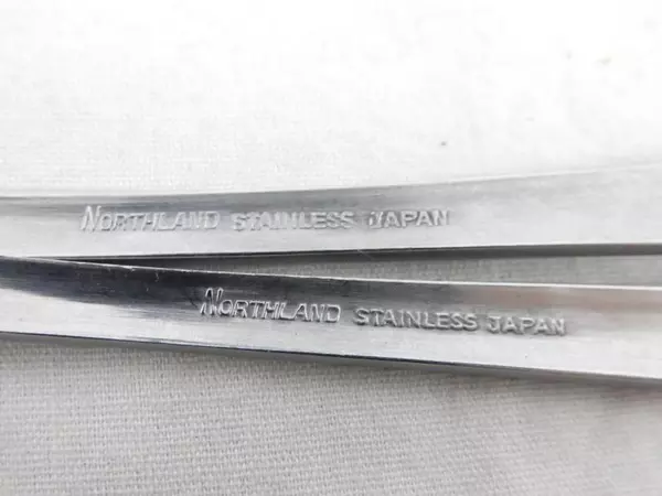 Oneida Northland Pasadena Dinner Fork Tablespoon Silver Toned