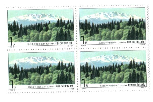1993-9 China 4 Blocks of 4 Unused Changbai Mountain Set MNH