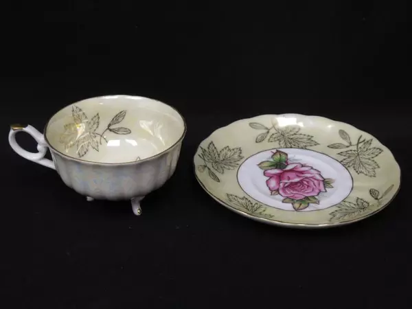 Vtg Royal Halsey Very Fine China and Cup Saucer Pearlescent White Yellow Rose