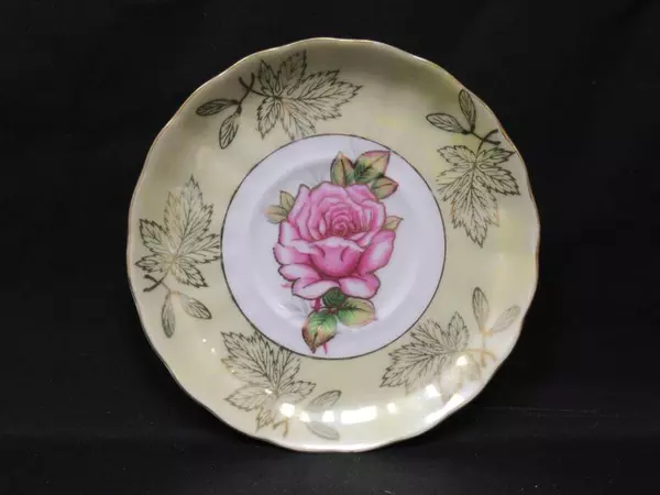 Vtg Royal Halsey Very Fine China and Cup Saucer Pearlescent White Yellow Rose