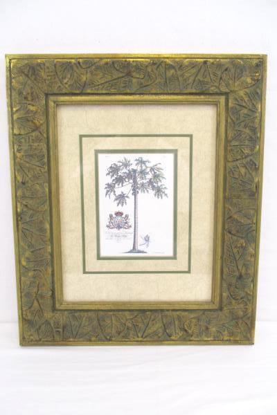 Ornate Framed Prince of Helse Botanical Print by G.D. Ehret Art Wall Decor Hang